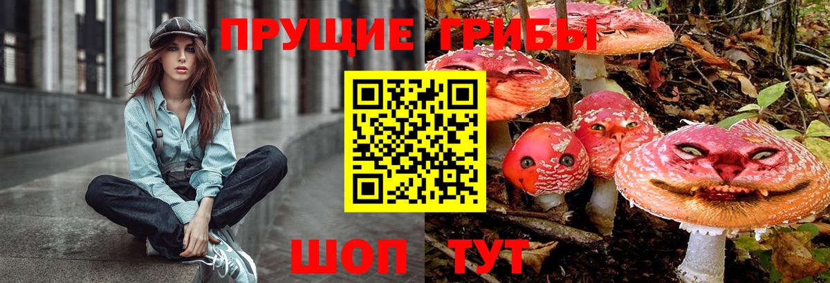 Бахчисарай  где купить   Псилоцибиновые грибы GOLDEN TEACHER  Вход с VPN  Псилоцибиновые грибы GOLDEN TEACHER 